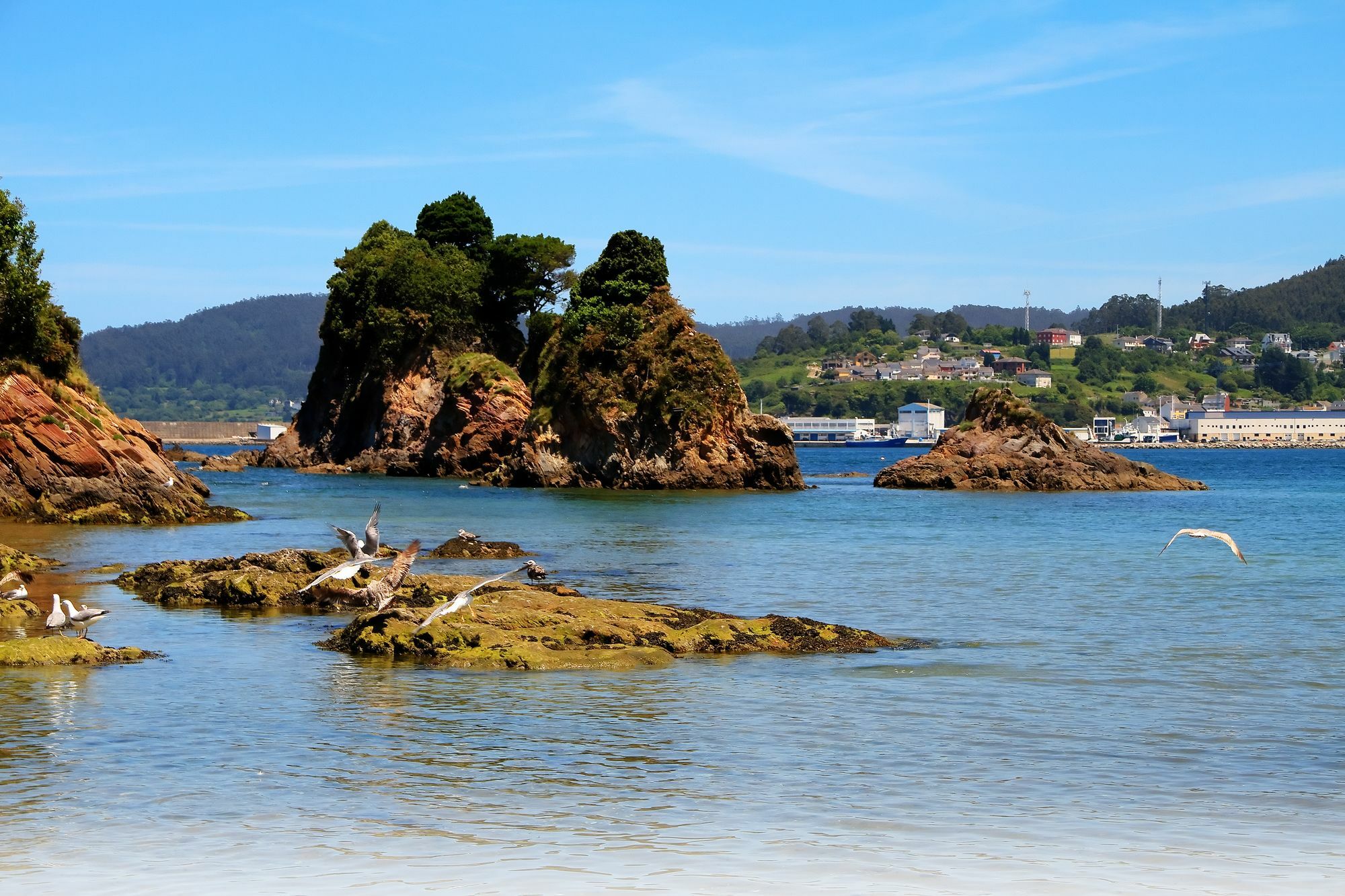 Appartement Duerming Sea View Viveiro Extérieur photo